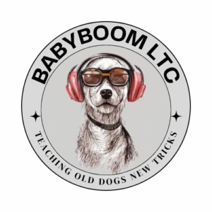 BabyBoom LTC Logo