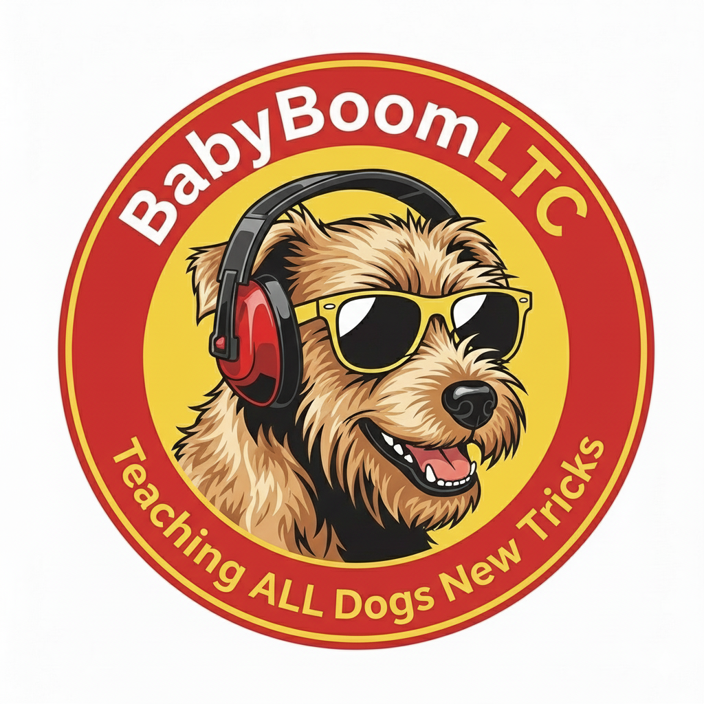 BabyBoom LTC